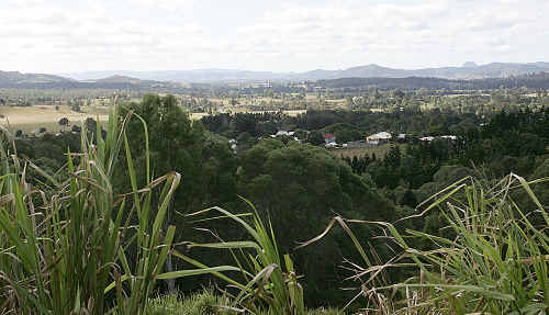 Cr Jan Watt wants more local input into state government plans to renew the Mary Valley. Cr Jan Watt wants more local input into state government plans to renew the Mary Valley.